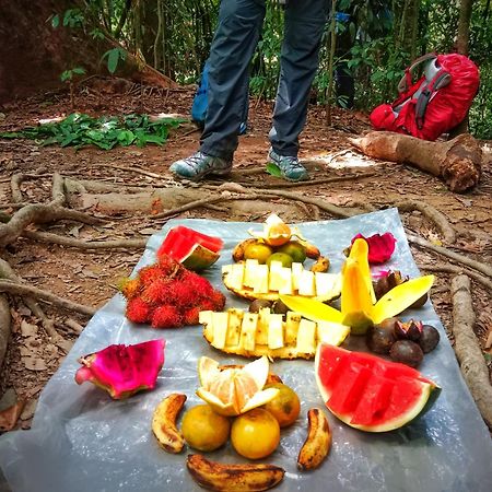Jungle Life Guest House - Trekking & Transport Only Book With Us Bukit Lawang Buitenkant foto