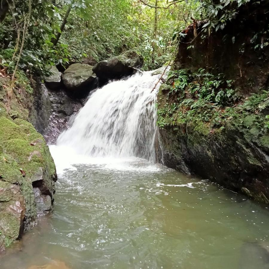 Jungle Life Guest House - Trekking & Transport Only Book With Us Bukit Lawang Buitenkant foto
