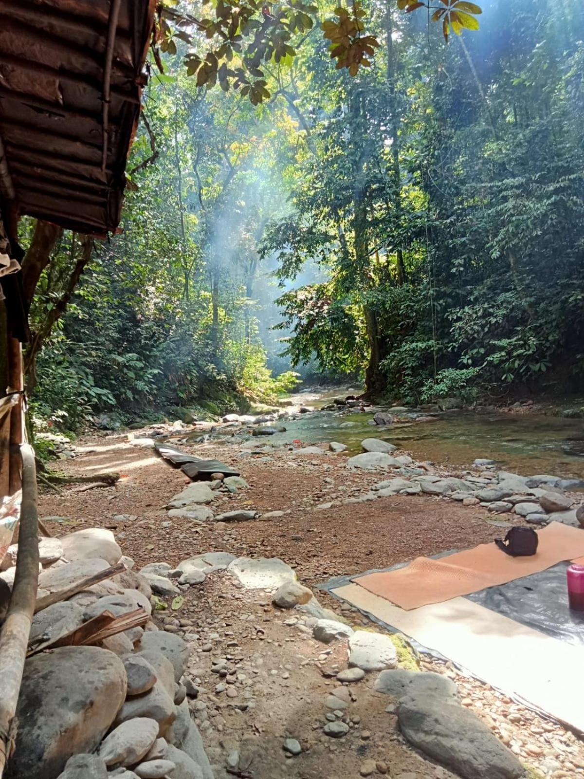 Jungle Life Guest House - Trekking & Transport Only Book With Us Bukit Lawang Buitenkant foto
