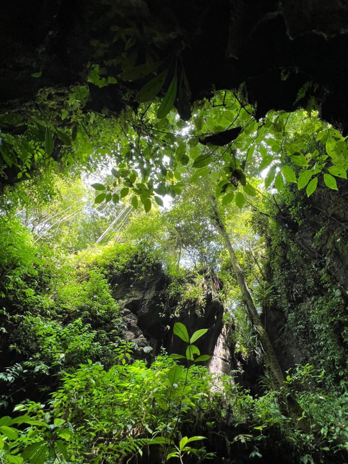 Jungle Life Guest House - Trekking & Transport Only Book With Us Bukit Lawang Buitenkant foto