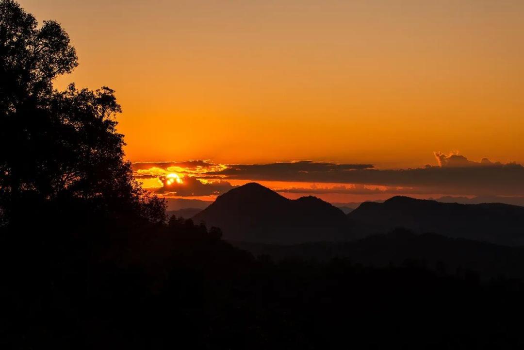 Jungle Life Guest House - Trekking & Transport Only Book With Us Bukit Lawang Buitenkant foto