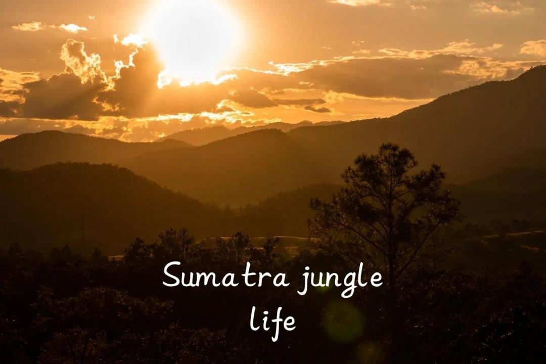 Jungle Life Guest House - Trekking & Transport Only Book With Us Bukit Lawang Buitenkant foto