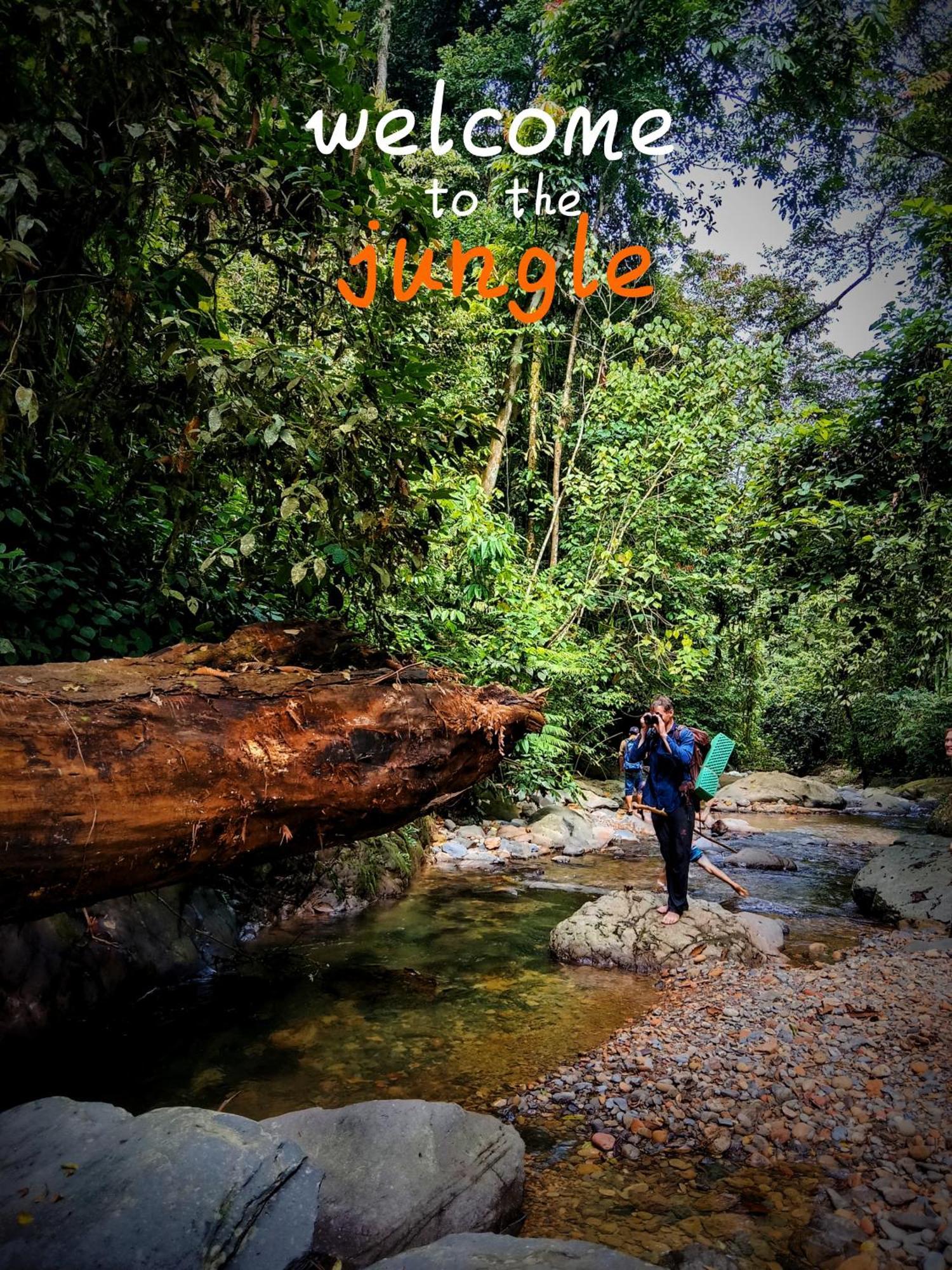 Jungle Life Guest House - Trekking & Transport Only Book With Us Bukit Lawang Buitenkant foto