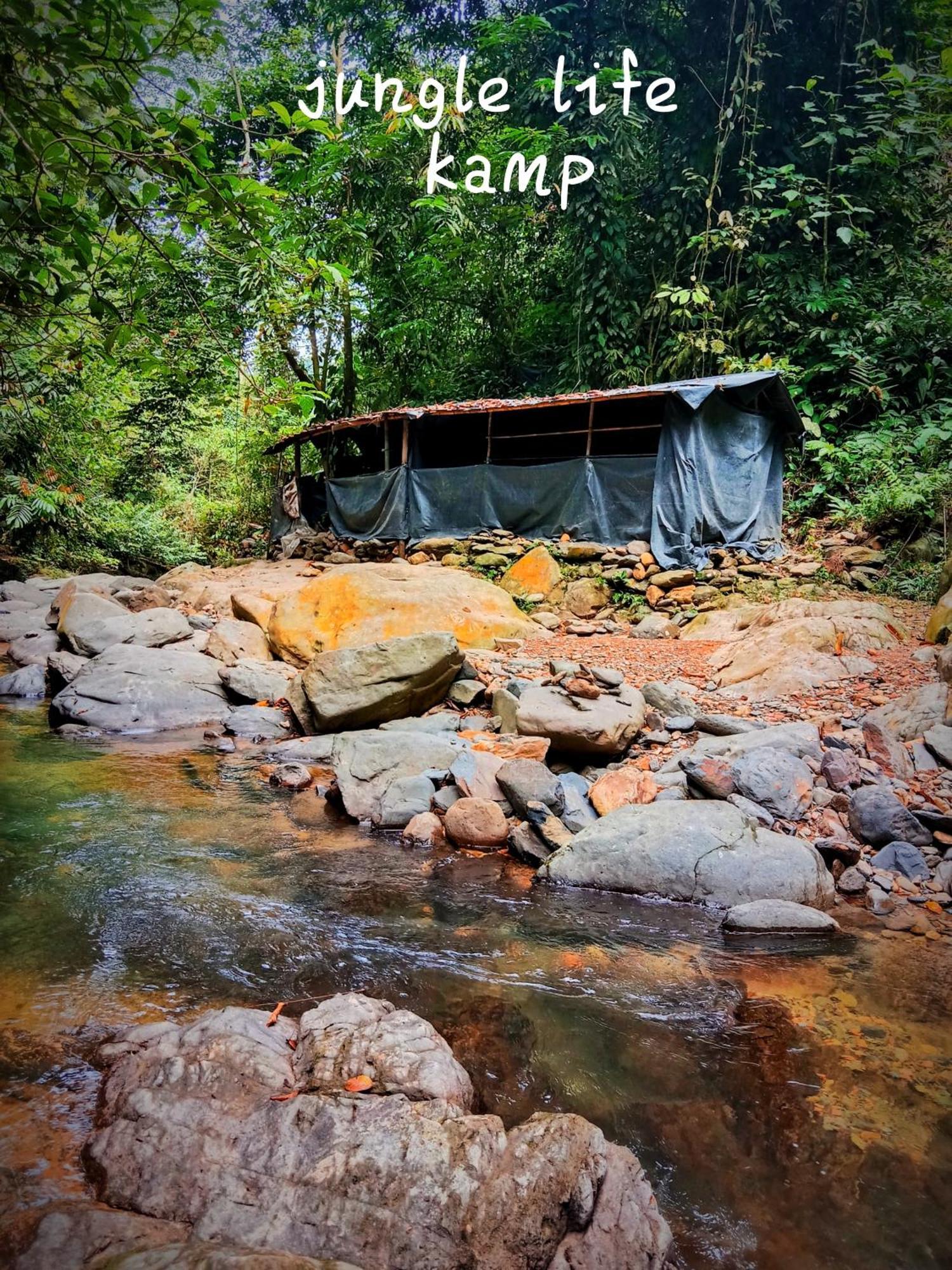 Jungle Life Guest House - Trekking & Transport Only Book With Us Bukit Lawang Buitenkant foto