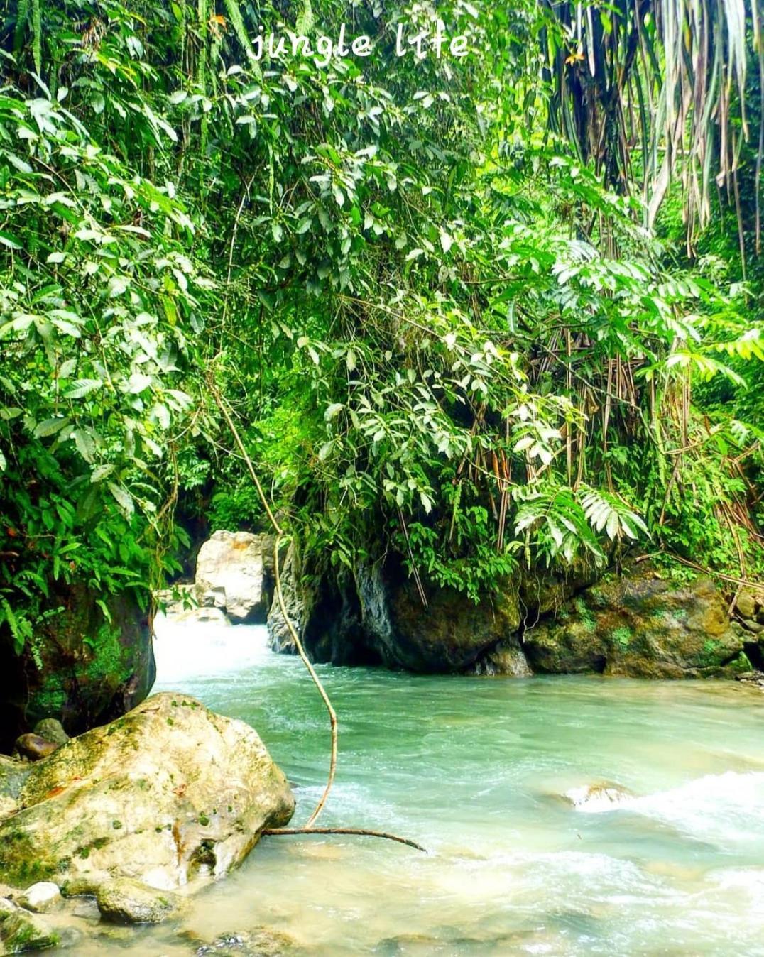Jungle Life Guest House - Trekking & Transport Only Book With Us Bukit Lawang Buitenkant foto