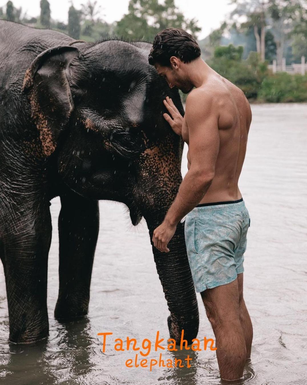 Jungle Life Guest House - Trekking & Transport Only Book With Us Bukit Lawang Buitenkant foto