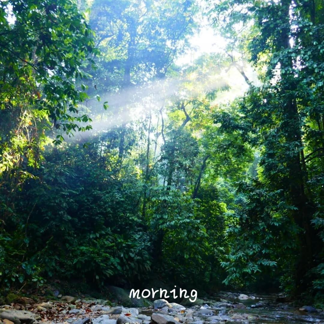 Jungle Life Guest House - Trekking & Transport Only Book With Us Bukit Lawang Buitenkant foto