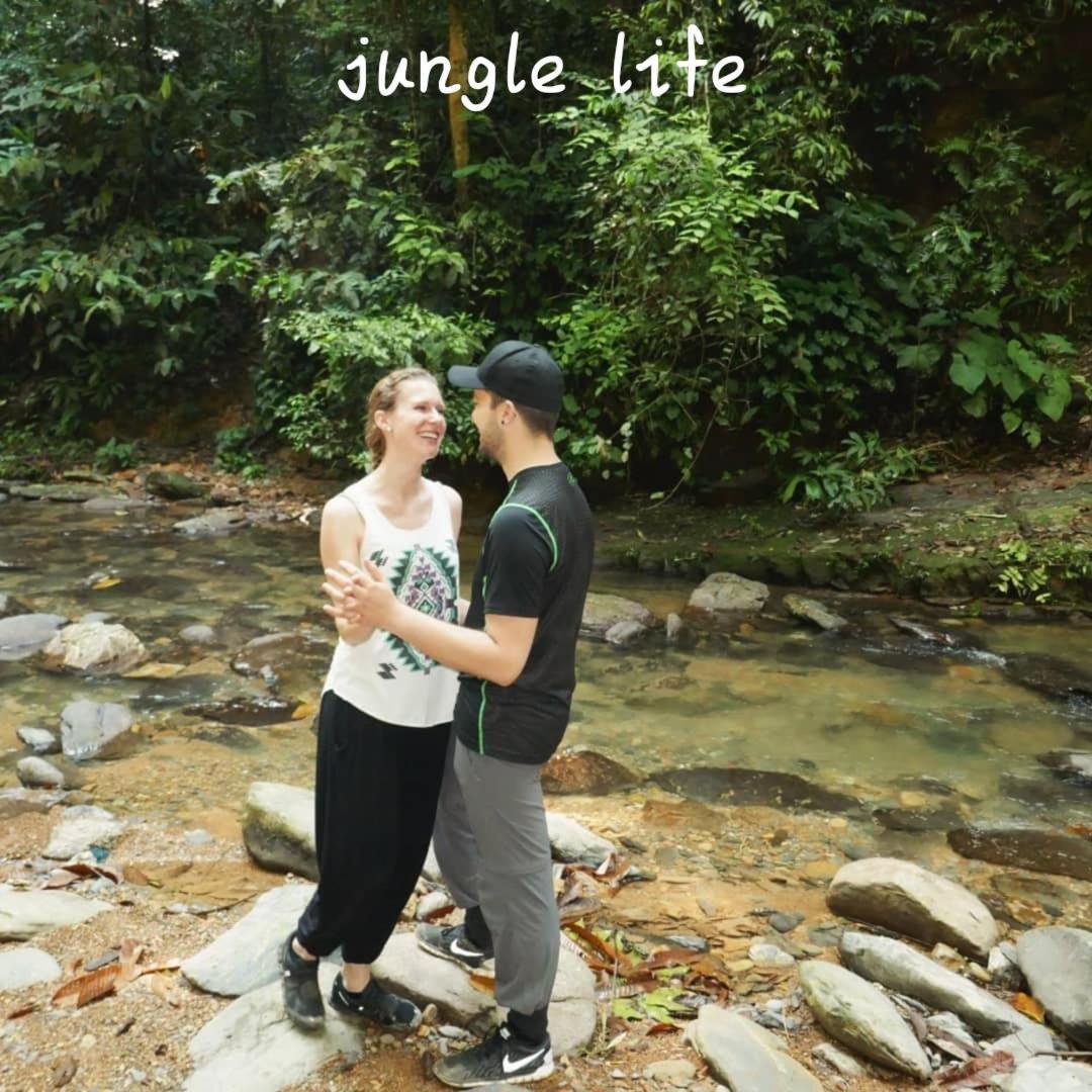 Jungle Life Guest House - Trekking & Transport Only Book With Us Bukit Lawang Buitenkant foto