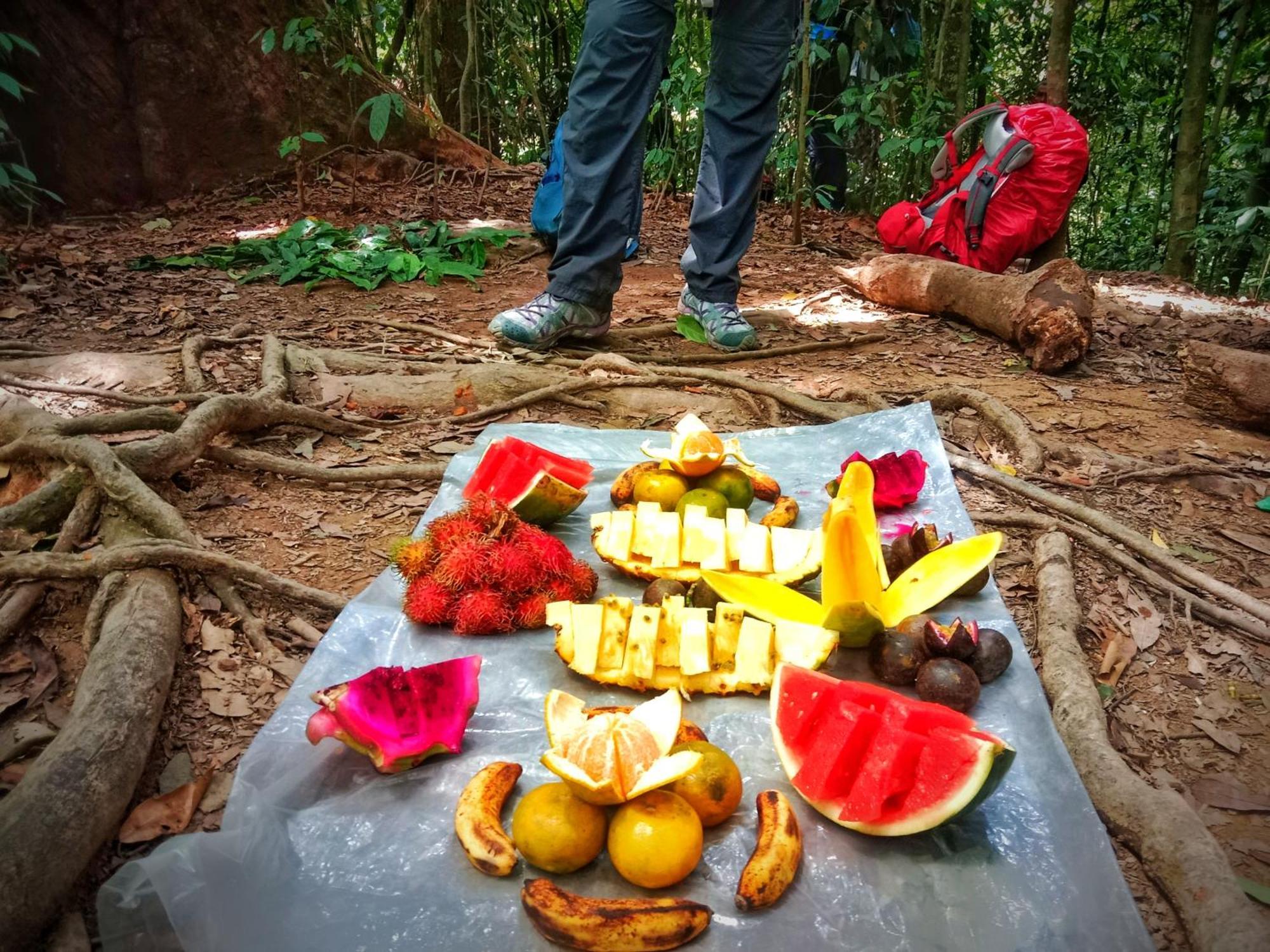 Jungle Life Guest House - Trekking & Transport Only Book With Us Bukit Lawang Buitenkant foto