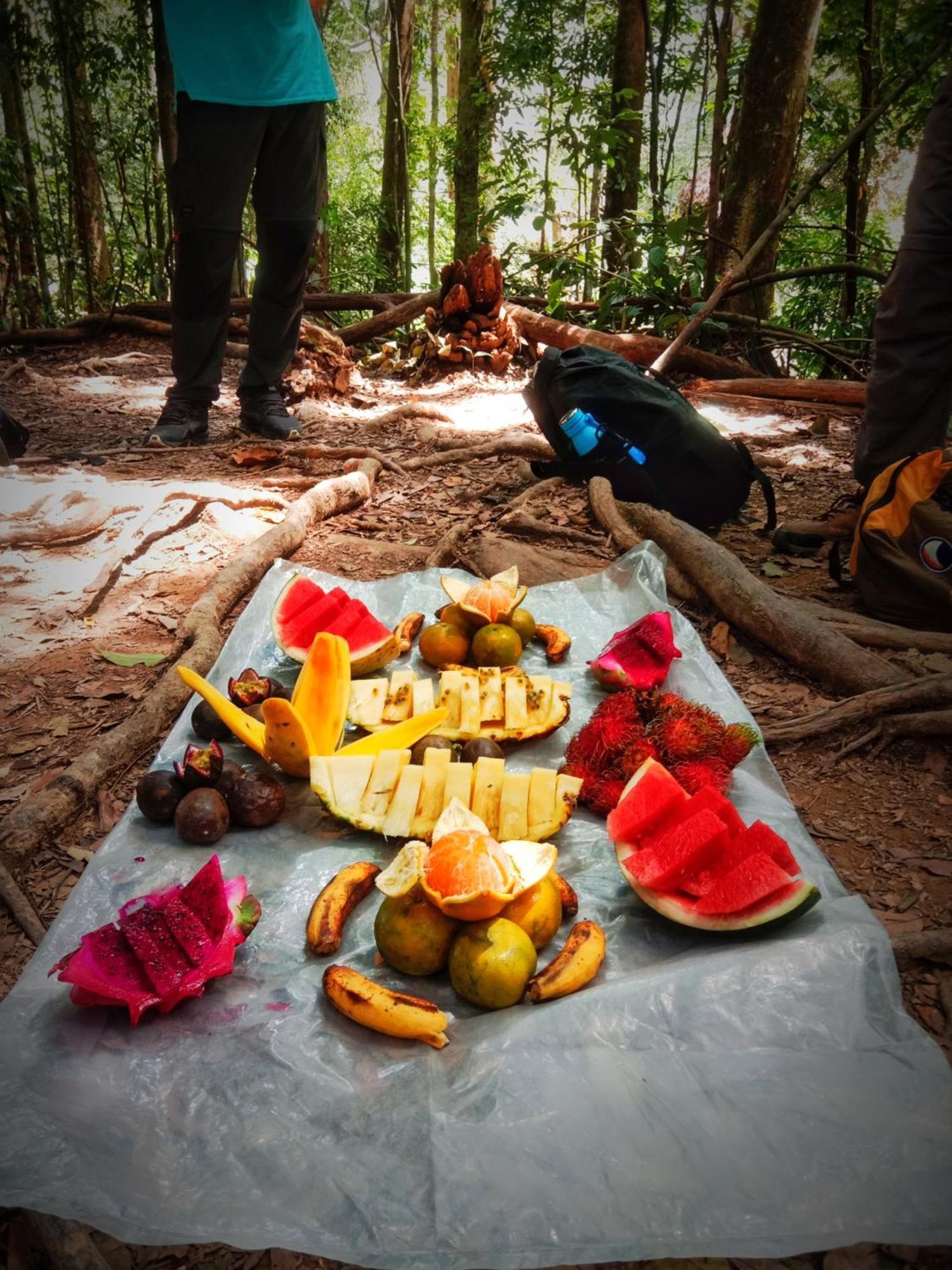 Jungle Life Guest House - Trekking & Transport Only Book With Us Bukit Lawang Buitenkant foto
