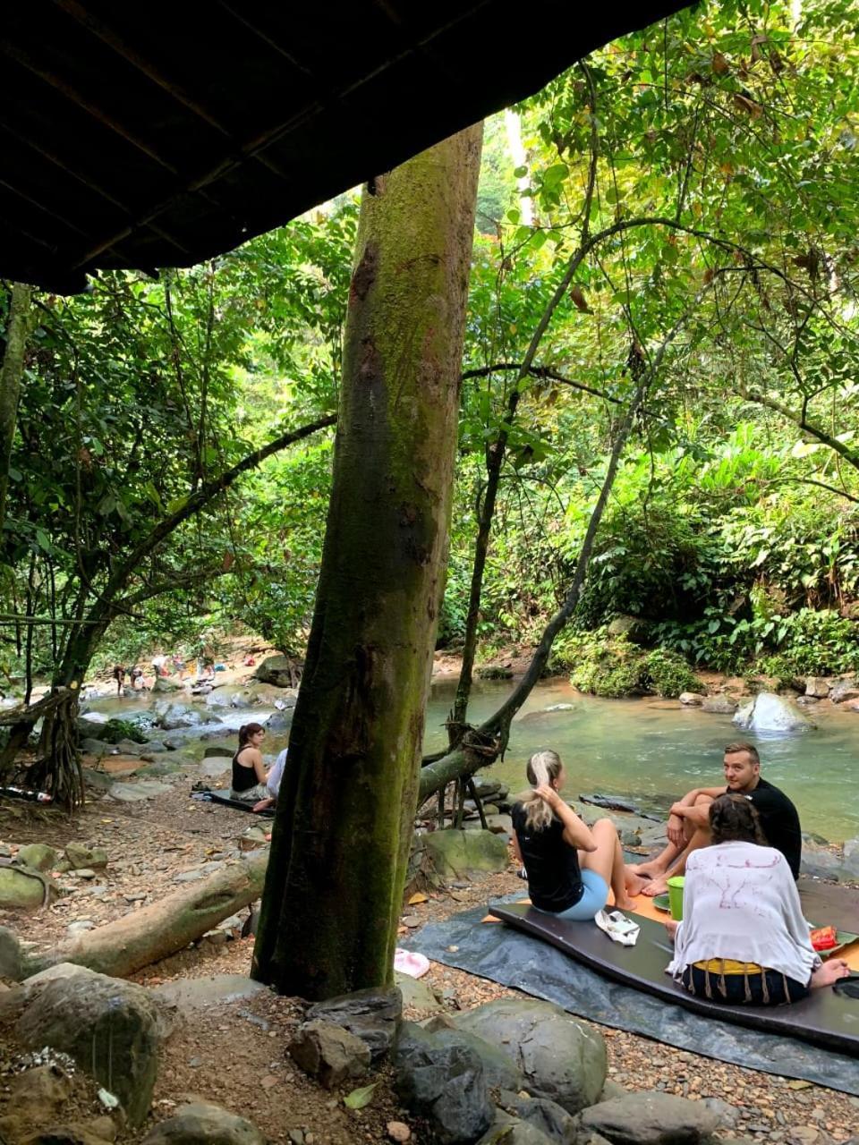 Jungle Life Guest House - Trekking & Transport Only Book With Us Bukit Lawang Buitenkant foto